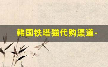 韩国铁塔猫代购渠道-韩国便利店可以买到铁塔猫吗
