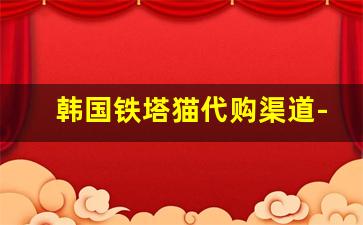 韩国铁塔猫代购渠道-韩国当地铁塔猫哪里有卖的