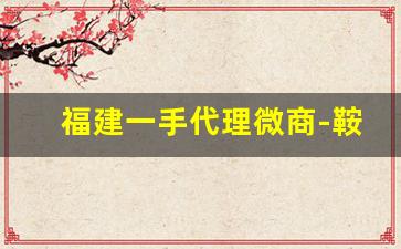 福建一手代理微商-鞍山微商货源招商加盟