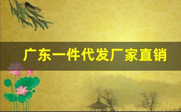 广东一件代发厂家直销-一件代发源头厂家哪里找