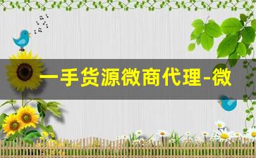 一手货源微商代理-微商货源批发官网