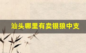 汕头哪里有卖银狼中支香烟的-汕头哪个烟店品种最全