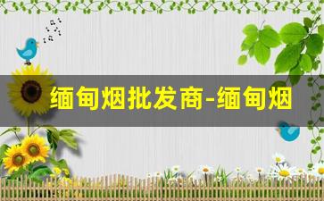 缅甸烟批发商-缅甸烟厂供应商