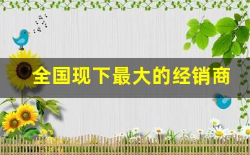 全国现下最大的经销商有哪些-2025年经销商为什么这么强势了