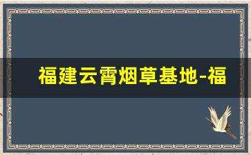 福建云霄烟草基地-福建武夷山南平市烟草