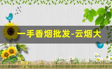 一手香烟批发-云烟大云端和小云端价格