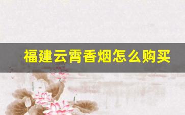 福建云霄香烟怎么购买-福建云霄新出的香烟
