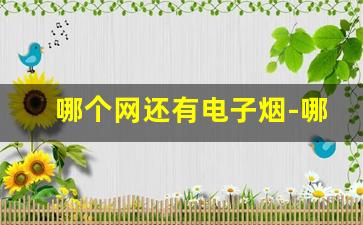 哪个网还有电子烟-哪个地方有卖电子烟的