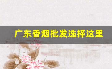 广东香烟批发选择这里-广东本地烟批发供应商
