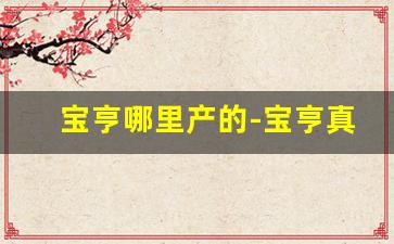 宝亨哪里产的-宝亨真伪怎么看