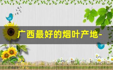 广西最好的烟叶产地-广西种植烟叶有多少亩