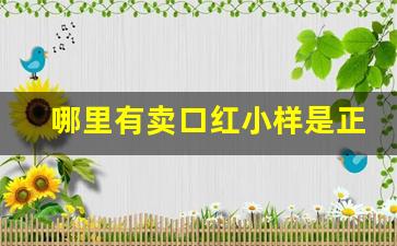 哪里有卖口红小样是正品的-正品口红小样从哪里买