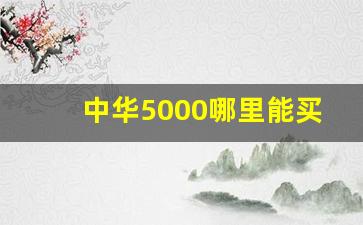 中华5000哪里能买到- 中华5000在哪里买最划算 