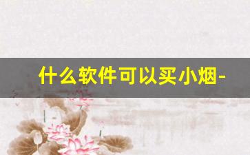 什么软件可以买小烟-什么软件可以直接买到烟